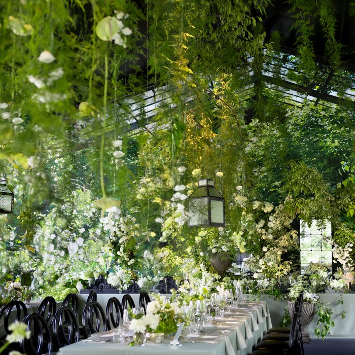 ZAROŚNIĘTA ORANŻERIA