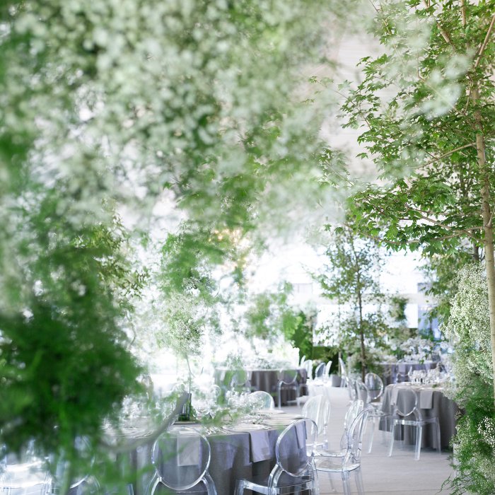 BIAŁA PIERZYNA – PAŁAC ROZALIN